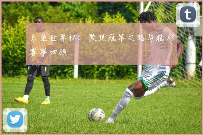 乐鱼世界杯:聚焦冠军之路与精彩赛事回顾