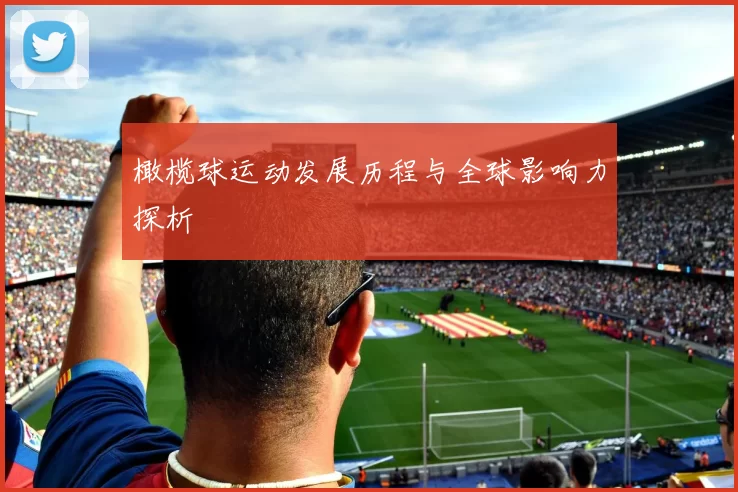 橄榄球运动发展历程与全球影响力探析