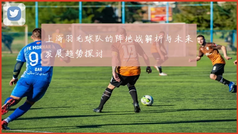 上海羽毛球队的阵地战解析与未来发展趋势探讨