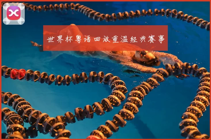 世界杯粤语回放重温经典赛事