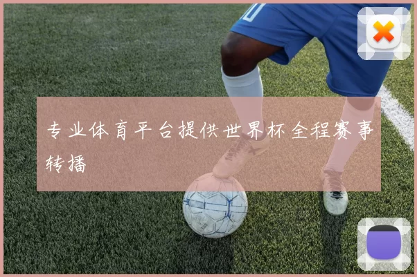 专业体育平台提供世界杯全程赛事转播