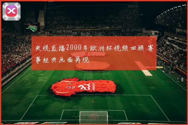 央视直播2000年欧洲杯视频回顾 赛事经典画面再现