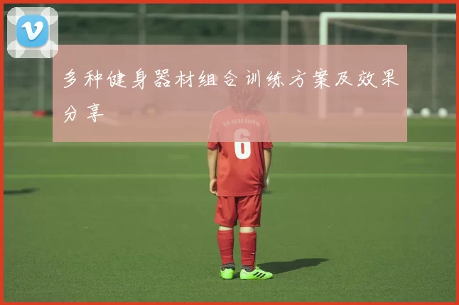 多种健身器材组合训练方案及效果分享