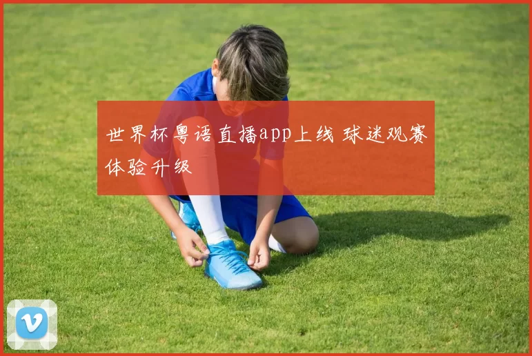 世界杯粤语直播app上线 球迷观赛体验升级