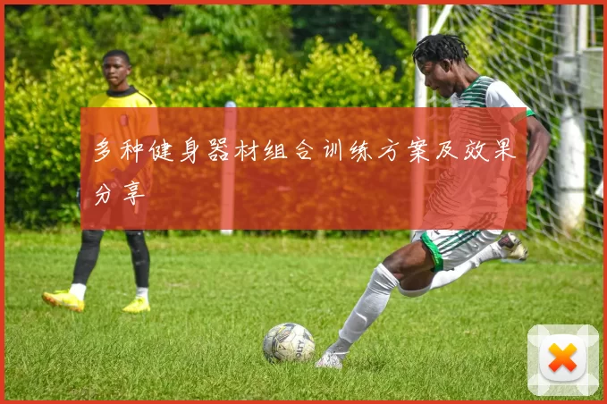 多种健身器材组合训练方案及效果分享
