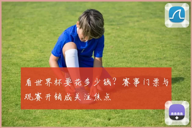 看世界杯要花多少钱？赛事门票与观赛开销成关注焦点