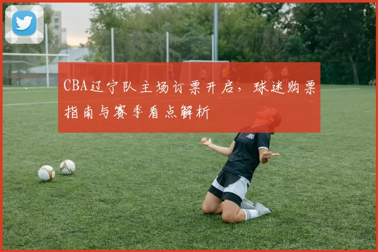CBA辽宁队主场订票开启,球迷购票指南与赛季看点解析