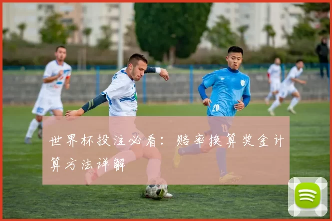 世界杯投注必看：赔率换算奖金计算方法详解