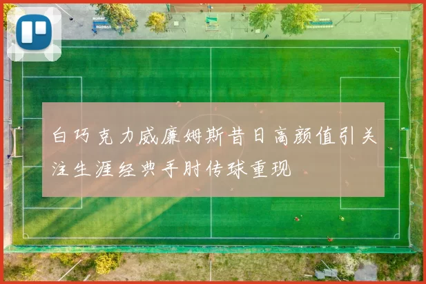 白巧克力威廉姆斯昔日高颜值引关注生涯经典手肘传球重现
