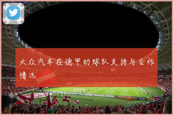 大众汽车在德甲的球队支持与合作情况