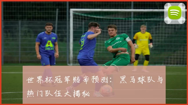 世界杯冠军赔率预测:黑马球队与热门队伍大揭秘