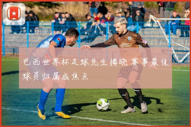 巴西世界杯足球先生揭晓 赛事最佳球员归属成焦点