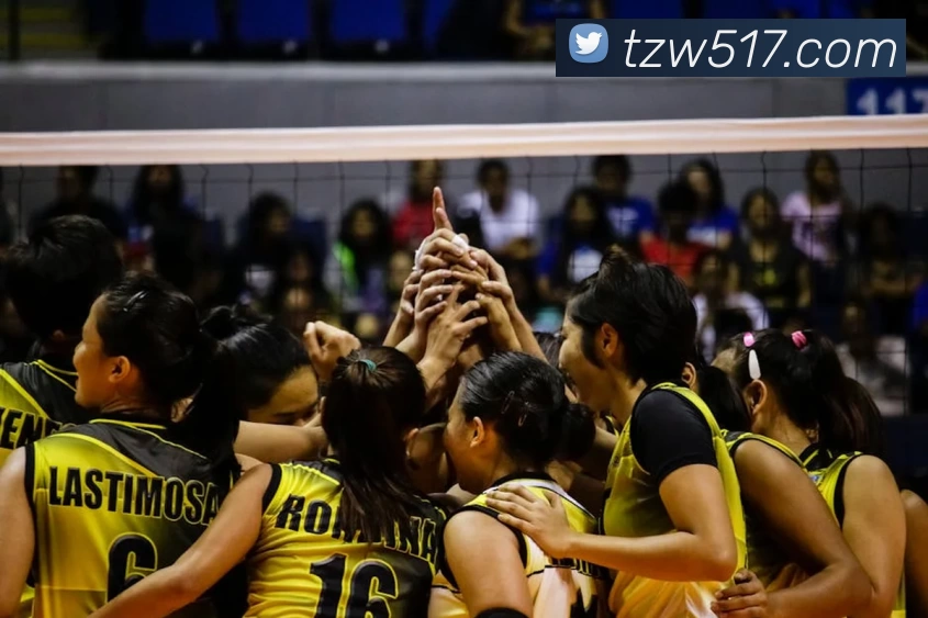 爱游戏体育平台生态图