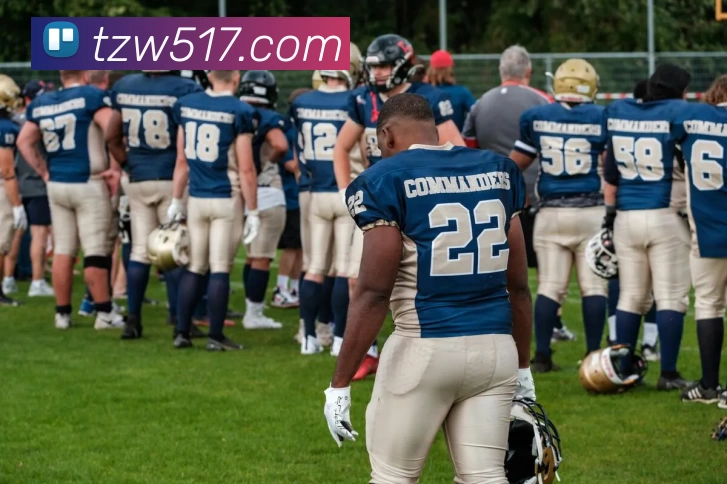 爱游戏体育APP 封面图